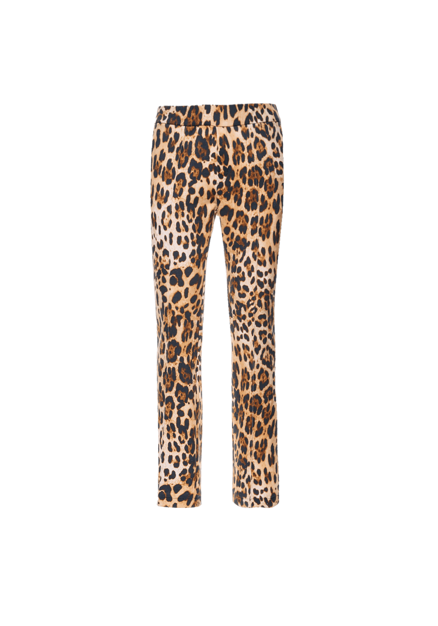 OCELOT